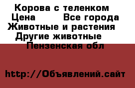 Корова с теленком › Цена ­ 69 - Все города Животные и растения » Другие животные   . Пензенская обл.